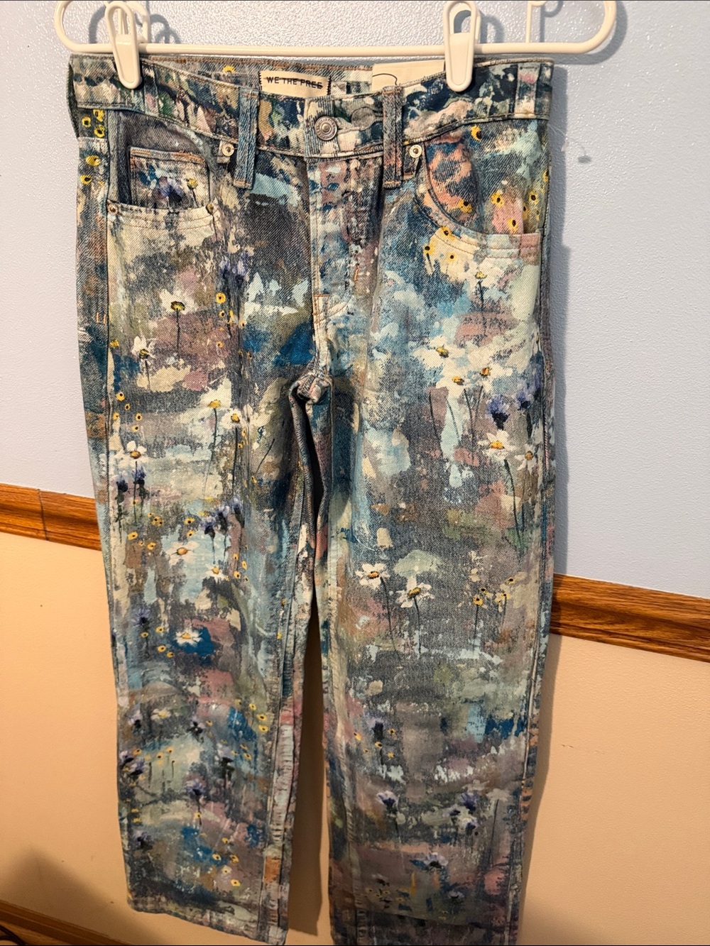 Free People We The Free Tennessee Low Rise Illusion Canvas Painted Jean Size 25